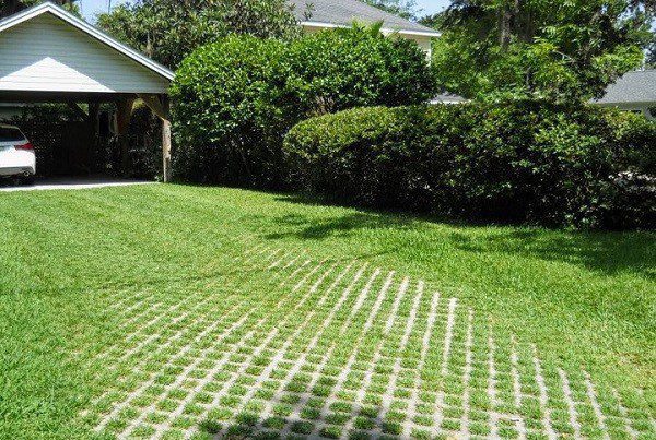 Gạch Trồng Cỏ: Mang Thiên Nhiên Đến Không Gian Sống Nhà Bạn